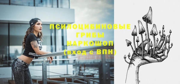 ПСИЛОЦИБИНОВЫЕ ГРИБЫ Абинск