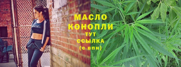 прущие грибы Анжеро-Судженск