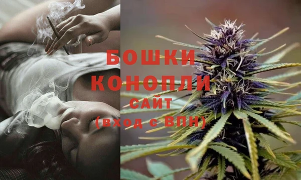 ГАЛЛЮЦИНОГЕННЫЕ ГРИБЫ Михайловск