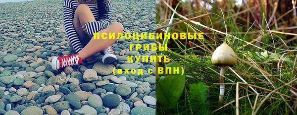 ПСИЛОЦИБИНОВЫЕ ГРИБЫ Абинск